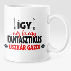 Így néz ki egy fantasztikus uszkár gazdi bögre (igy-nez-ki-egy-fantasztikus-uszkar-gazdi)