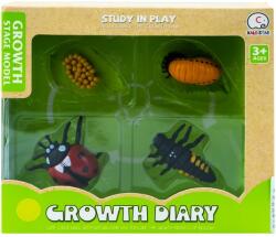  Set figurine, ciclul vietii buburuzei RB37275 Figurina