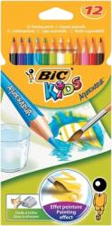 BIC Creioane colorate 12 culori Aquacouleur Bic 8575615 (8575613)