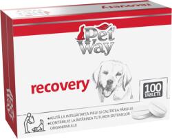 PetWay Recovery - 100 Tablete