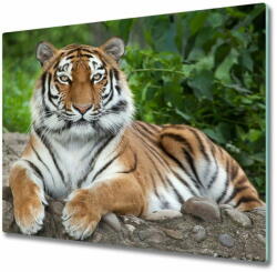 tulup. hu Üveg vágódeszka szibériai tigris 60x52 cm - mall - 13 900 Ft
