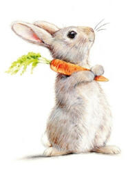 PPD Rabbit & Carrot papírszalvéta 33x33cm, 20db-os