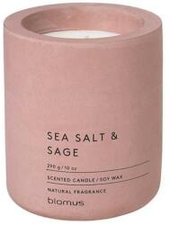 Blomus (Германия) Ароматна свещ BLOMUS FRAGA с аромат Sea Salt & Sage - Ø9 х 11 см - цвят тъмнорозов (BLOMUS 65656)