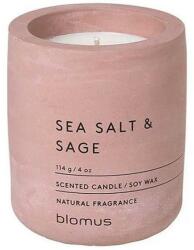 Blomus (Германия) Ароматна свещ BLOMUS FRAGA с аромат Sea Salt & Sage - Ø6.5 х 8 см - цвят тъмнорозов (BLOMUS 65651)