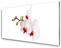  tulup. hu Akrilkép Orchidea virágok Természet 120x60 cm 2 fogas
