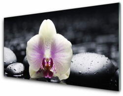 tulup. hu Üvegfotó Virág orchidea növény 100x50 cm 2 fogas