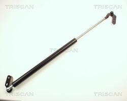 TRISCAN Amortizor portbagaj TRISCAN 8710 13236 (8710 13236) - automobilus