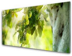  tulup. hu Konyhai hátfal panel Almafa ága nature 140x70 cm