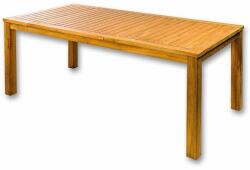 Mountfield Vegas négyszögletű teakfa asztal (2NAB2181)