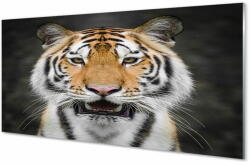 tulup. hu Üvegképek Tigris 100x50 cm 4 fogas