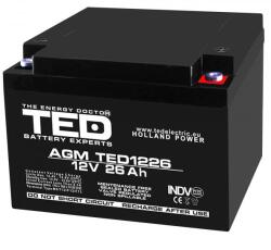 TED Electric Acumulator 12V 26Ah M5, AGM VRLA, TED Electric TED003638 (A0114133)