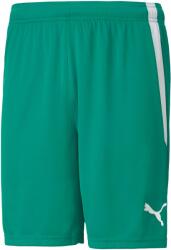 PUMA Férfi szabadidős rövidnadrág Puma TEAMLIGA SHORTS zöld 704924-05 - M