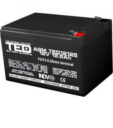 TED Electric Acumulator 12V 12.5Ah F2, AGM VRLA, TED Electric TED002754 (AC.TD.12V.BK1.12.0001)