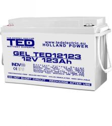 TED Electric Acumulator 12V 123Ah GEL DEEP CYCLE M8, TED Electric TED003508 (AC.TD.12V.BK1.123.0001)