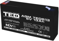 TED Electric Acumulator 6V 13Ah F1, AGM VRLA, TED Electric TED003010 (AC.TD.6V.BK1.13.0001)