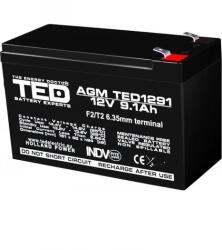 TED Electric Acumulator 12V 9.1Ah F2, AGM VRLA, TED Electric TED003263 (AC.TD.12VF2.BK1.9.1.0001)