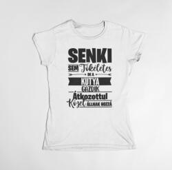  Senki sem tökéletes, de az kutya gazdik átkozottul közel állnak hozzá női póló (senkisem_kutya_noi_polo)