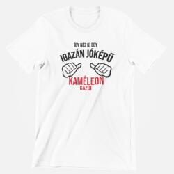  Így néz ki egy igazán jóképű kaméleon gazdi férfi póló (jokepu_kameleon_gazdi_ferfi_polo)