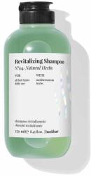  Sampon revitalizant cu actiune detox cu plante naturale, Farmavita Back Bar N04, 250 ml