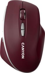 CANYON MW-21 (CNS-CMSW21BR)