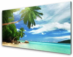 tulup. hu Akril üveg kép Palm Beach Sea Landscape 140x70 cm 4 fogas
