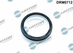 Dr. Motor Automotive Drm-drm0712