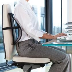 AVEX Perna suport lombar pentru scaun masina sau scaun birou