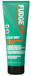 Fudge Șampon pentru curățarea în profunzime a părului - Fudge Clean Mint Shampoo 250 ml