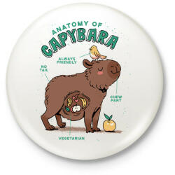 printfashion Capybara anatómia - Kitűző, hűtőmágnes - Fehér (13609518)