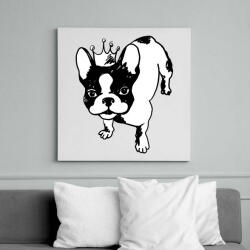 printfashion Francia bulldog - Vászonkép - Fehér (6631662)