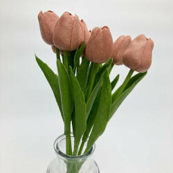 Barna tulipán (Barna-tulipan)