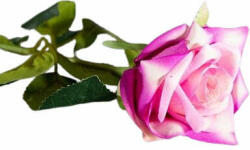 50 cm rózsaszín cirmos rózsa (50-cm-rozsaszin-cirmos-rozsa) - pepita - 1 062 Ft