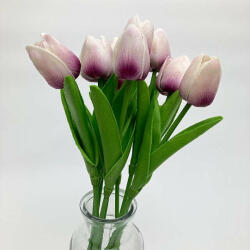  Lilás-magenta tulipán (Lilas-magenta-tulipan)