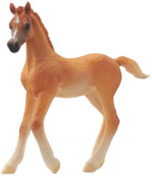 Schleich 13984 Arab csikó figura (S13984)