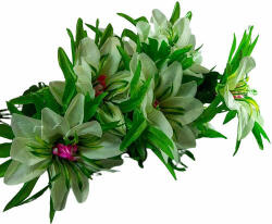 52 cm-es zöld virág (52-cm-es-zold-virag)