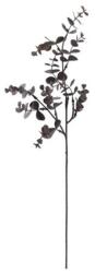 Selyemvirág eukaliptusz szálas 55cm barna (7300010040-L01)