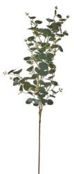  Selyemvirág eukaliptusz ág 100cm zöld (A29693_08)
