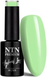 NTN Premium Premium géllakk 138