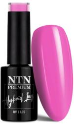 NTN Premium Premium géllakk 140