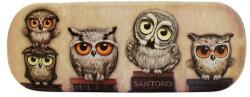 Santoro Penar ochelari Etui Book Owls