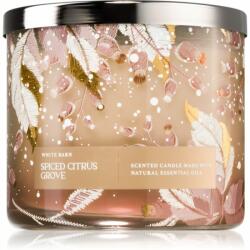 Bath & Body Works Spiced Citrus Grove lumânare parfumată 411 g