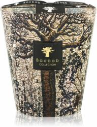 Baobab Collection Sacred Trees Morondo lumânare parfumată 16 cm