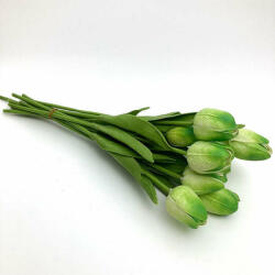  Felül zöld gumi tulipán, 1db (Felul-zold-gumi-tulipan)