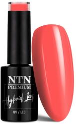 NTN Premium UV/LED 164#