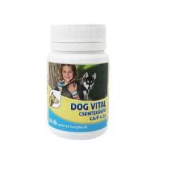 DOG VITAL csonterősítő CA/P Kutyáknak