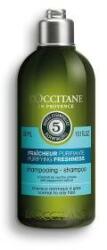L'Occitane Șampon Revitalizant LOccitane En Provence Aromacología Răcoritor 300 ml