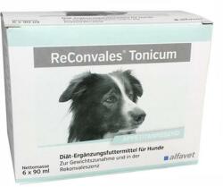 ReConvales Tonicum 6x90 ml
