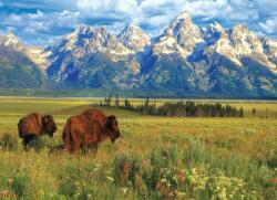 EUROGRAPHICS 6000-5474 - Grand Teton National Park - 1000 db-os puzzle (6000-5474)