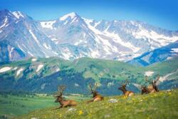 EUROGRAPHICS 6000-5705 - Mountain Elks - 1000 db-os puzzle