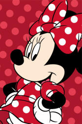  Disney Minnie Red mikroflanel takaró 100x150cm - e-x